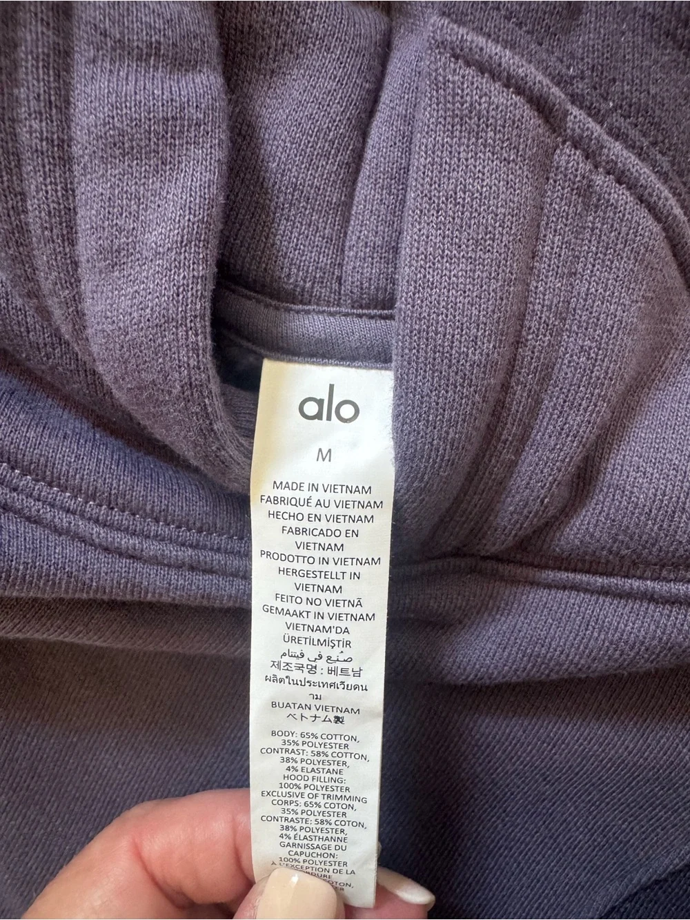 ALO Purple and Slate Hoodie